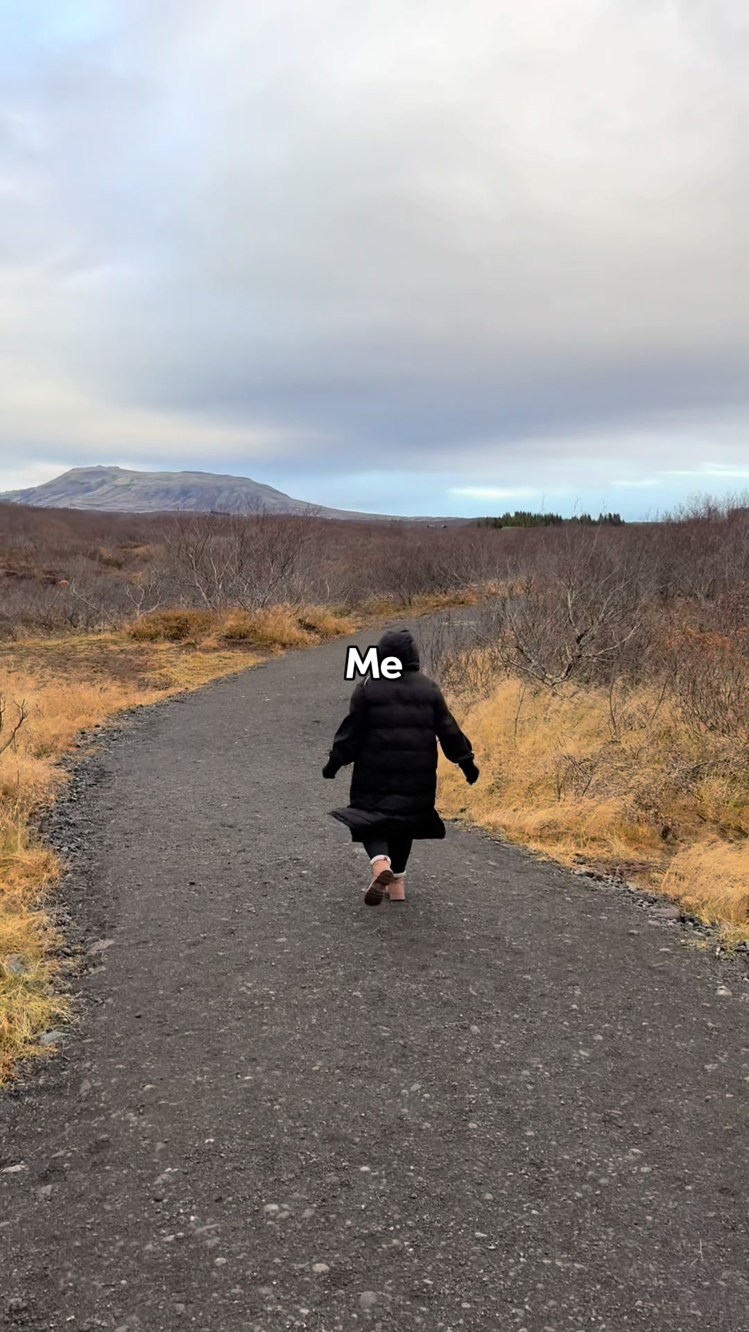 @gemma