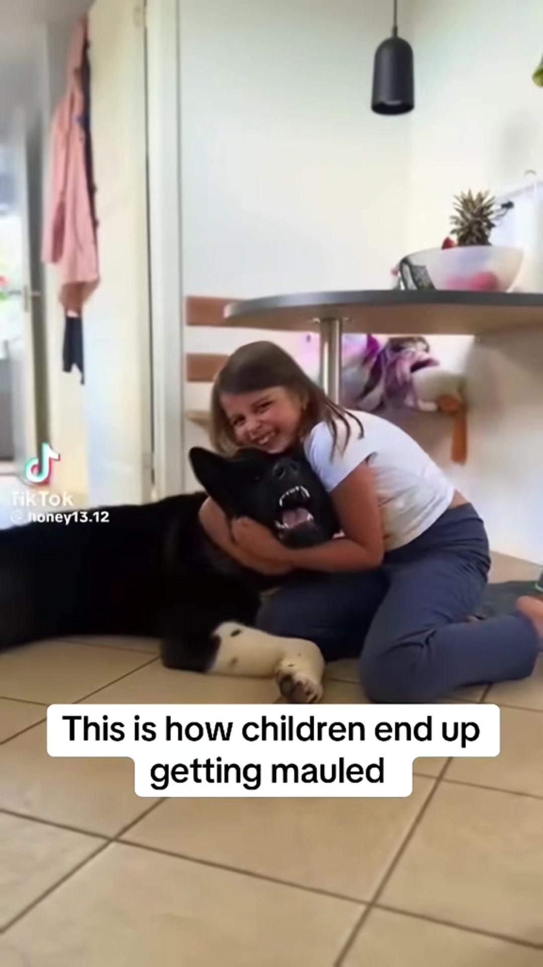 @SouthendDogTraining