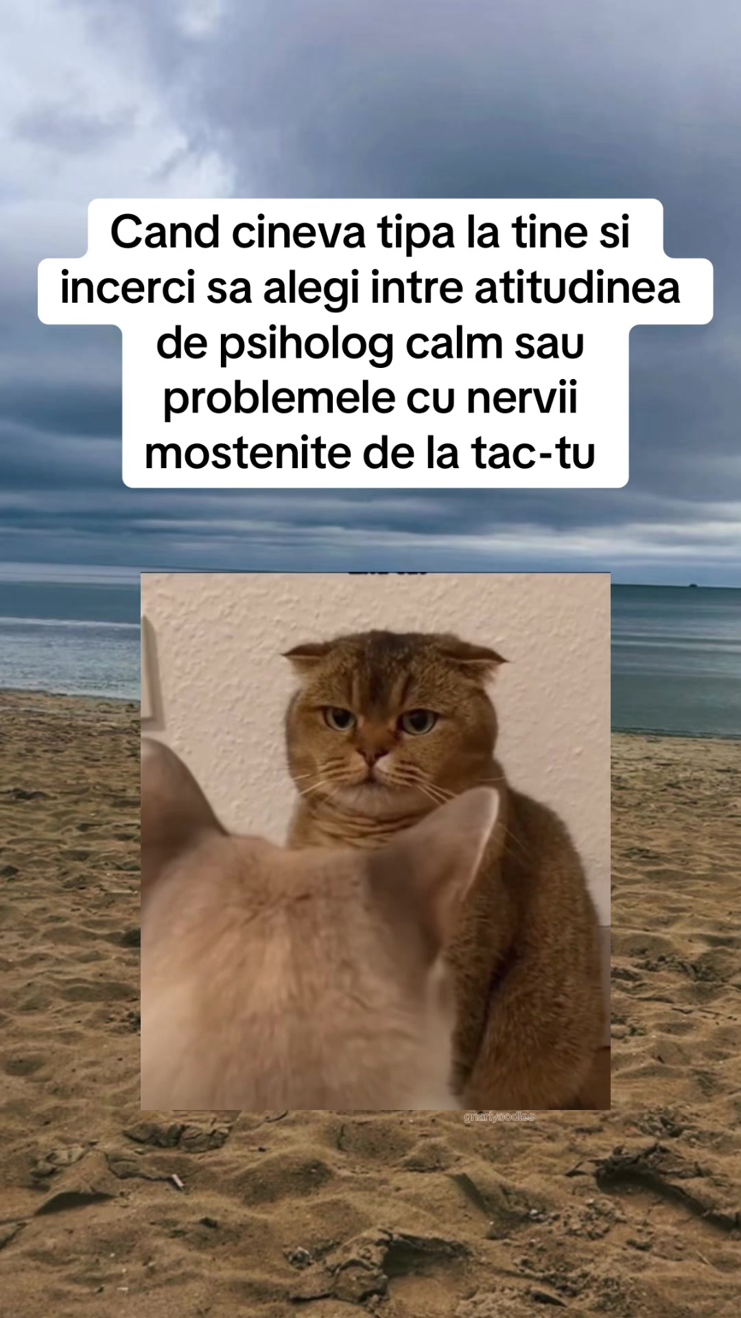 @Psiholog | Diana Diaconeasa
