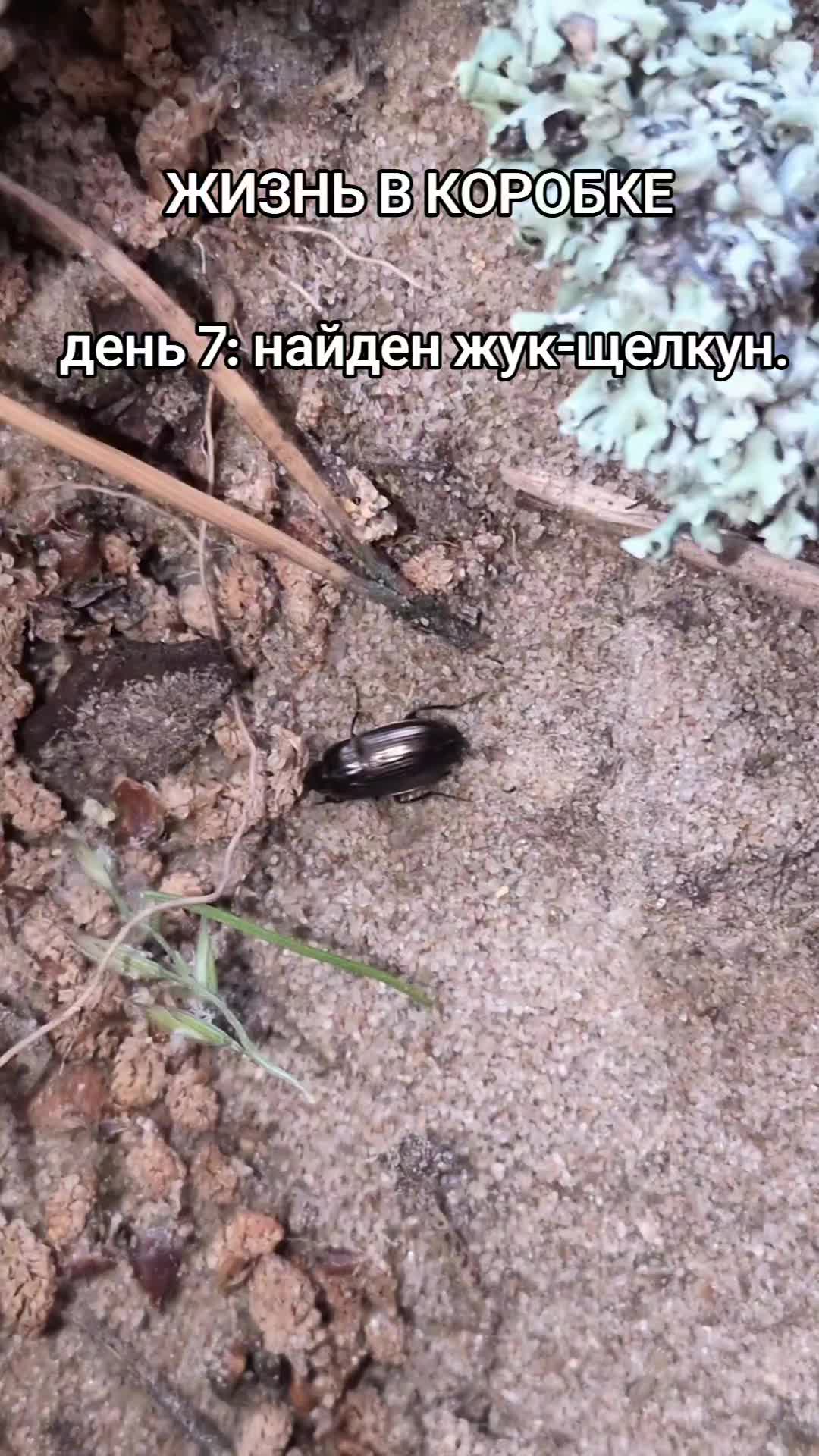 @ЖИЗНЬ В КОРОБКЕ