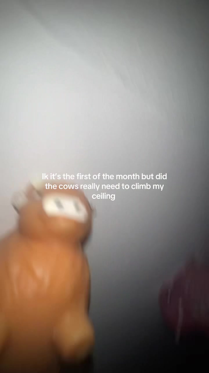 @.👻👻👻.