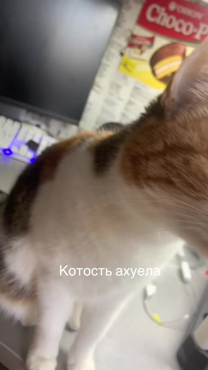 @гелюся