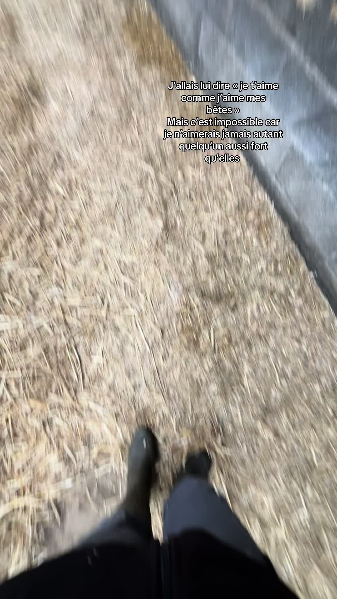 @Océane 🐄🌾
