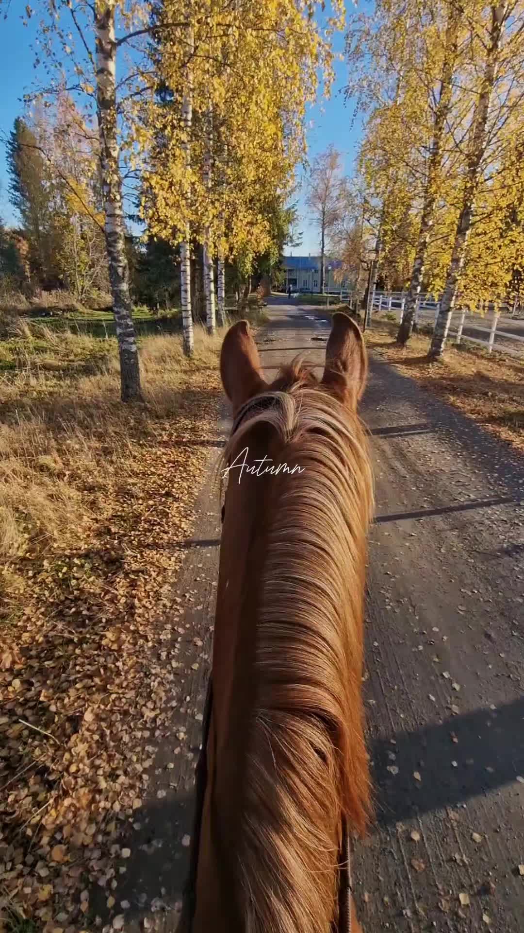 @Milja_Amanda