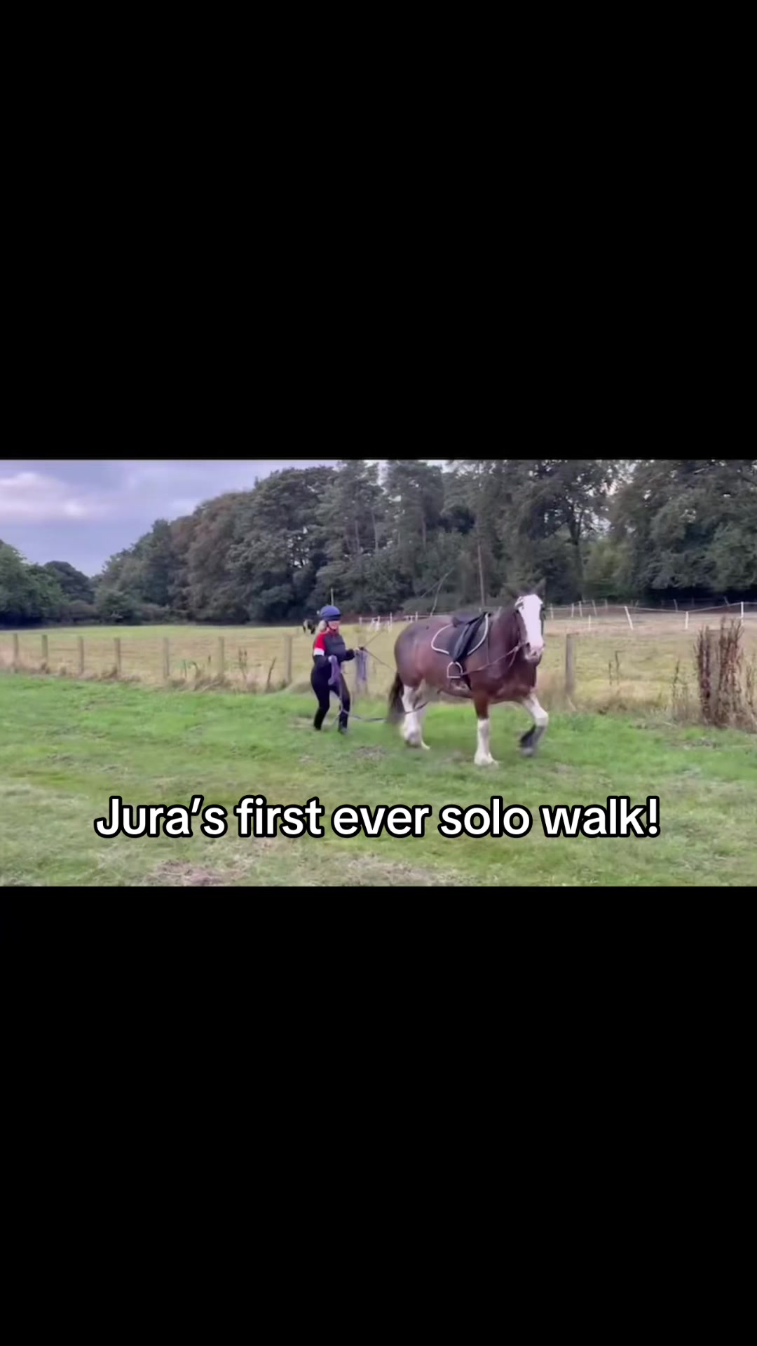 @Lilywiththecobs🐴