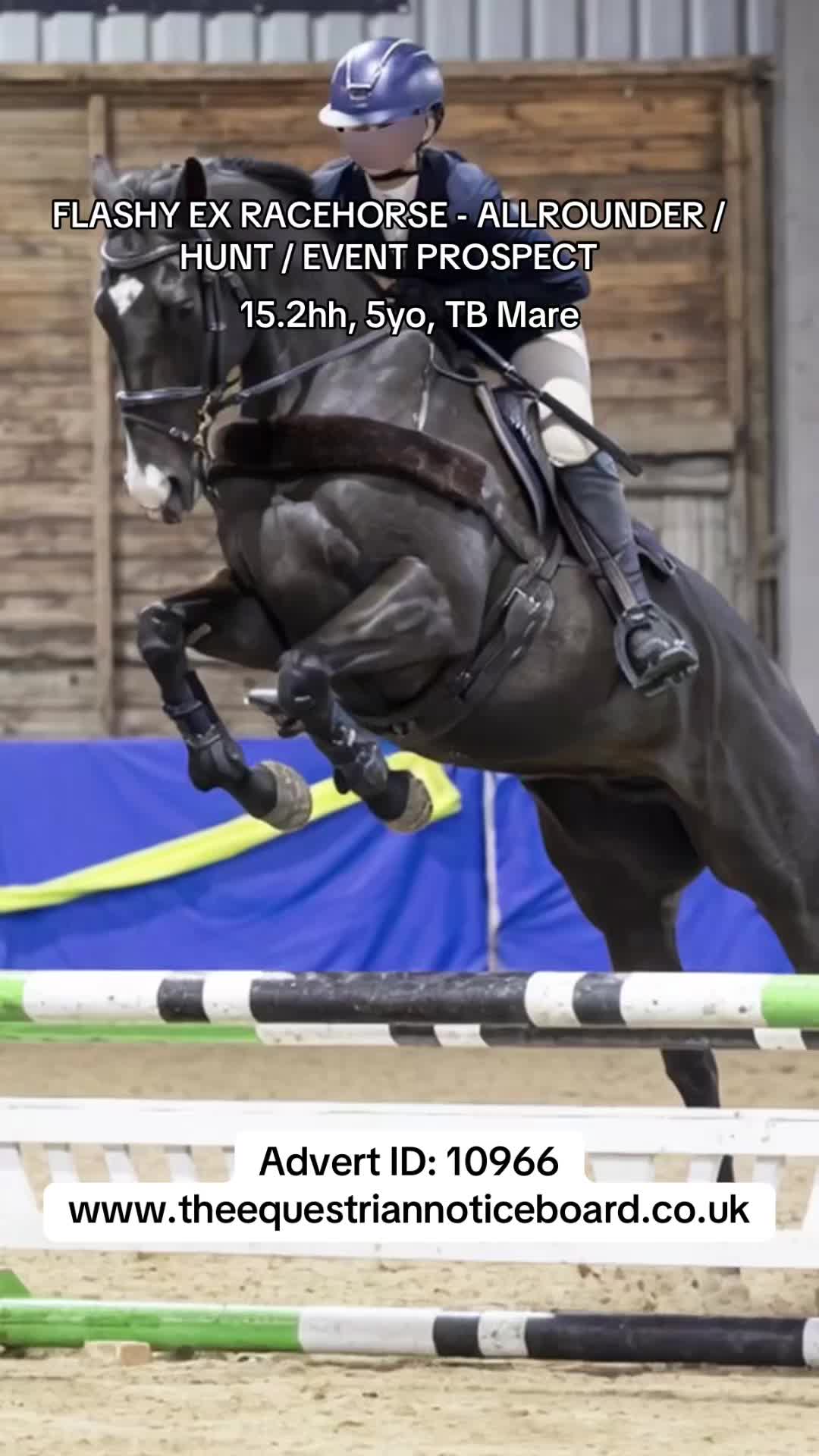 @theequestriannoticeboard