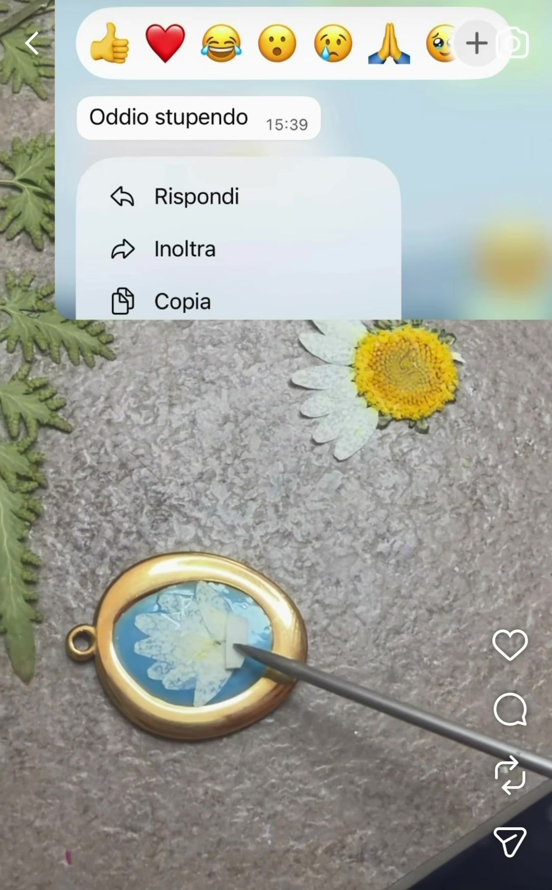 @Cristina Riccio