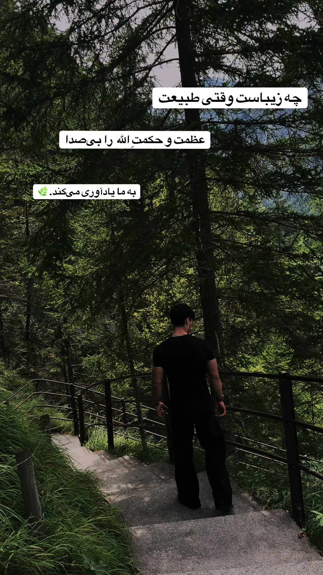@monawar.007