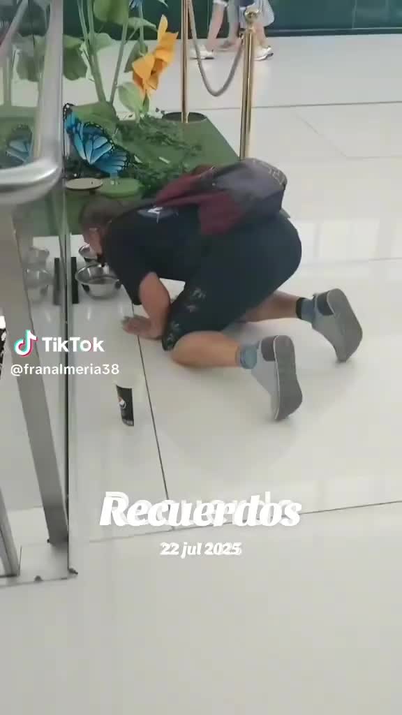 @brollid