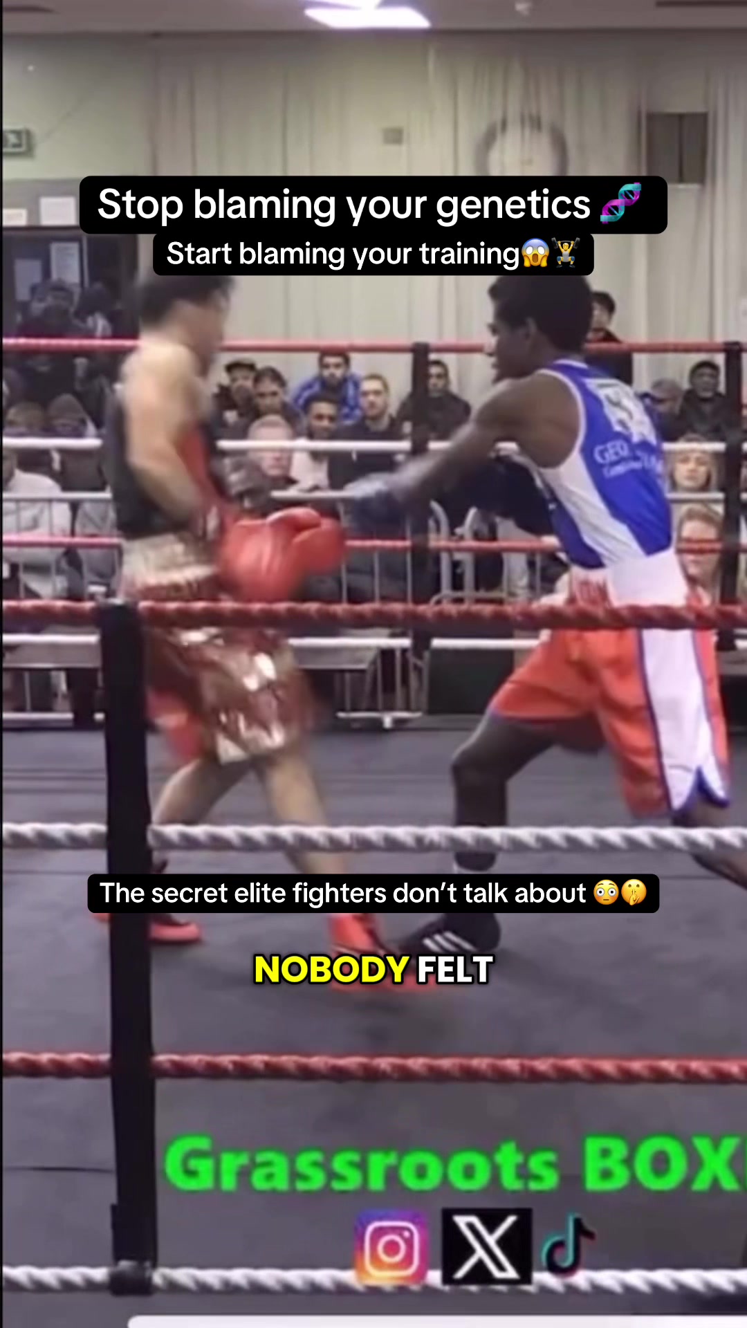 @SSBFinds