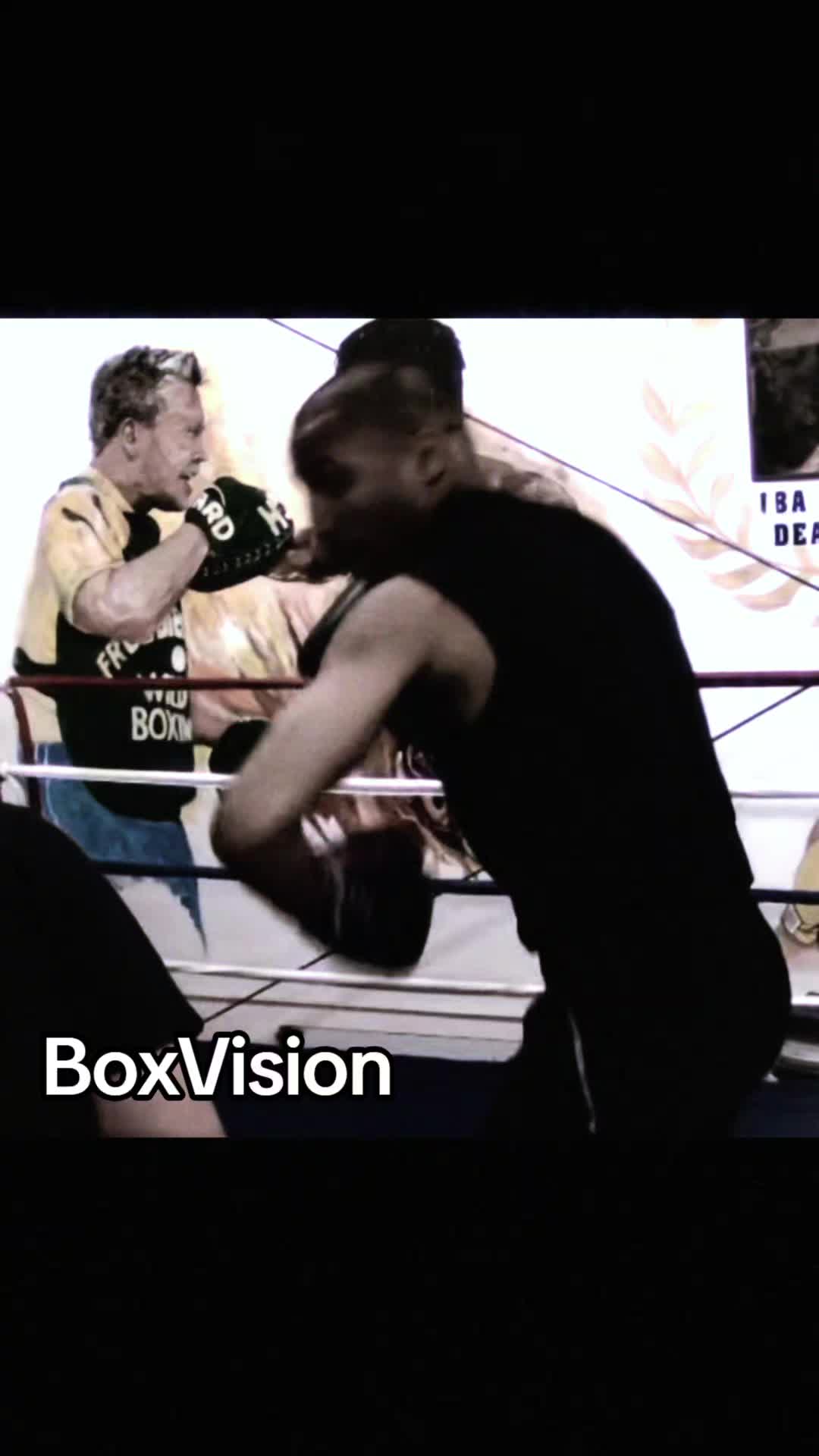 @BoxVision