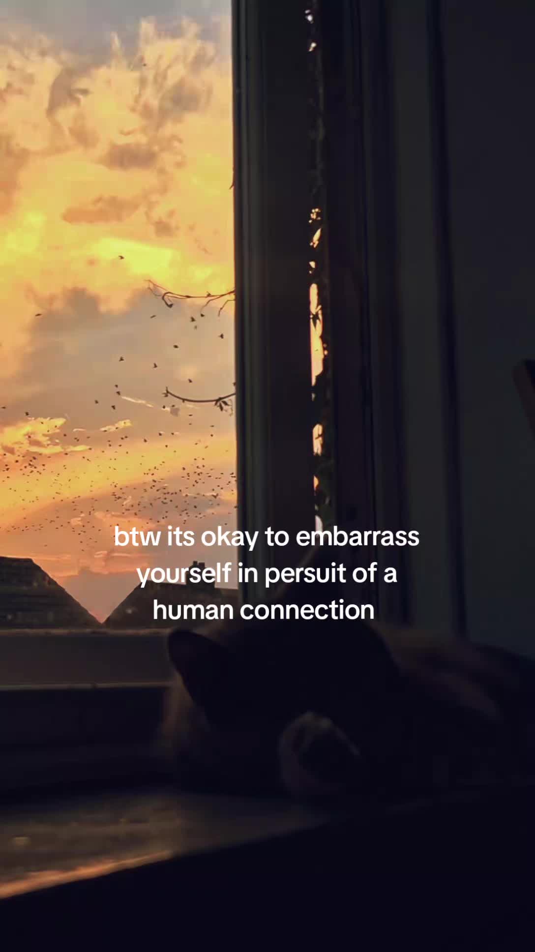 @Holly •