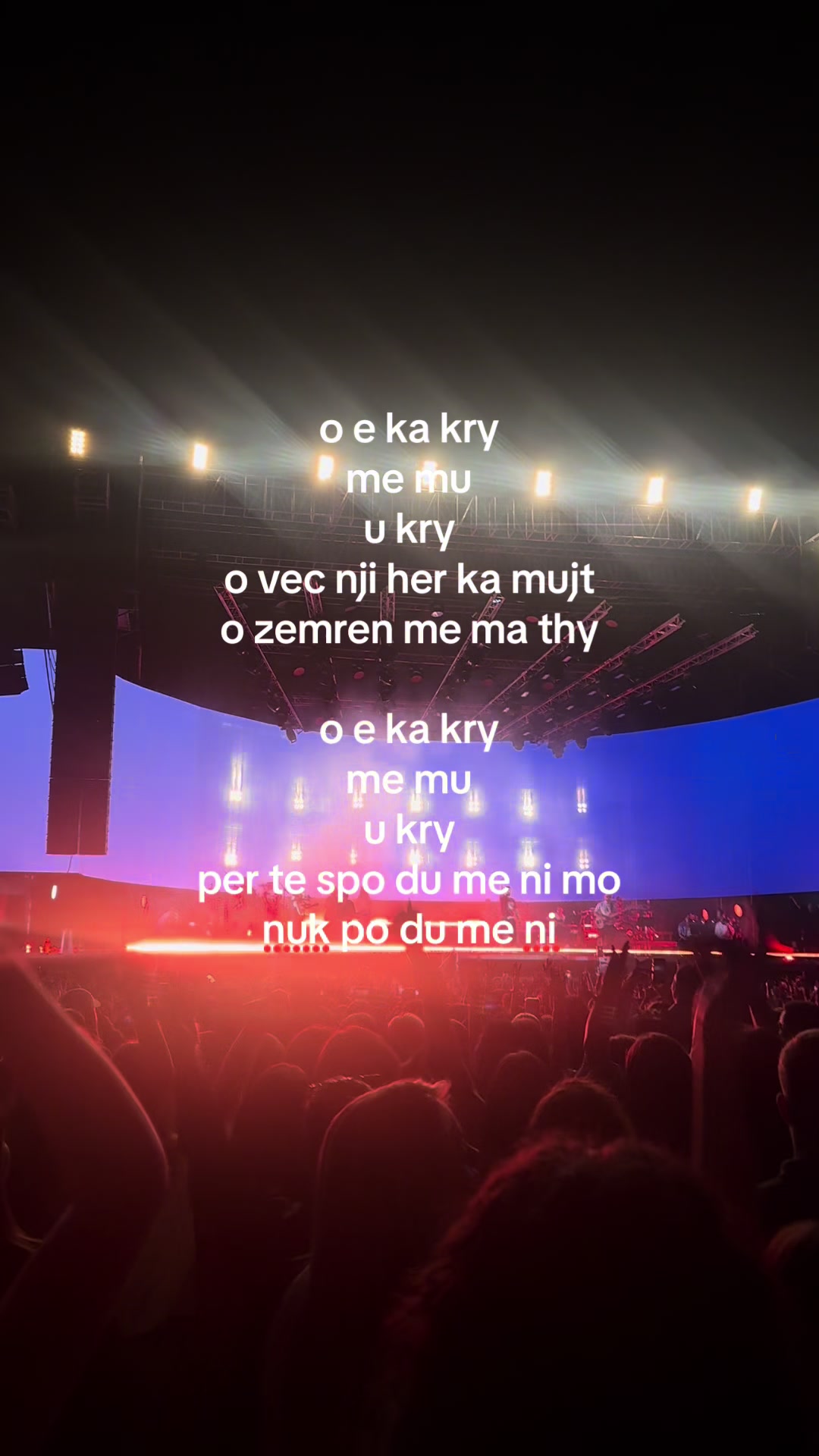 @Kiara Balena
