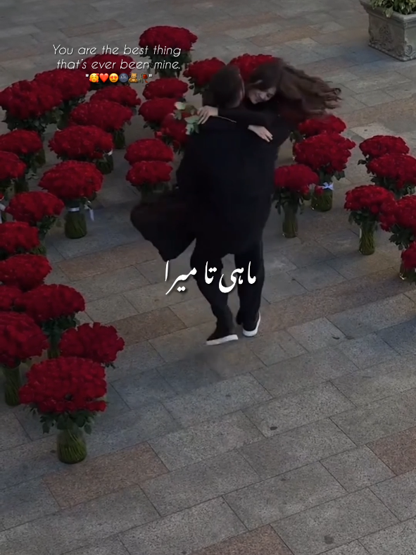 @𓆩𝘽 𝘼 𝘽 𝘼 𝙍𓆪 -🧸