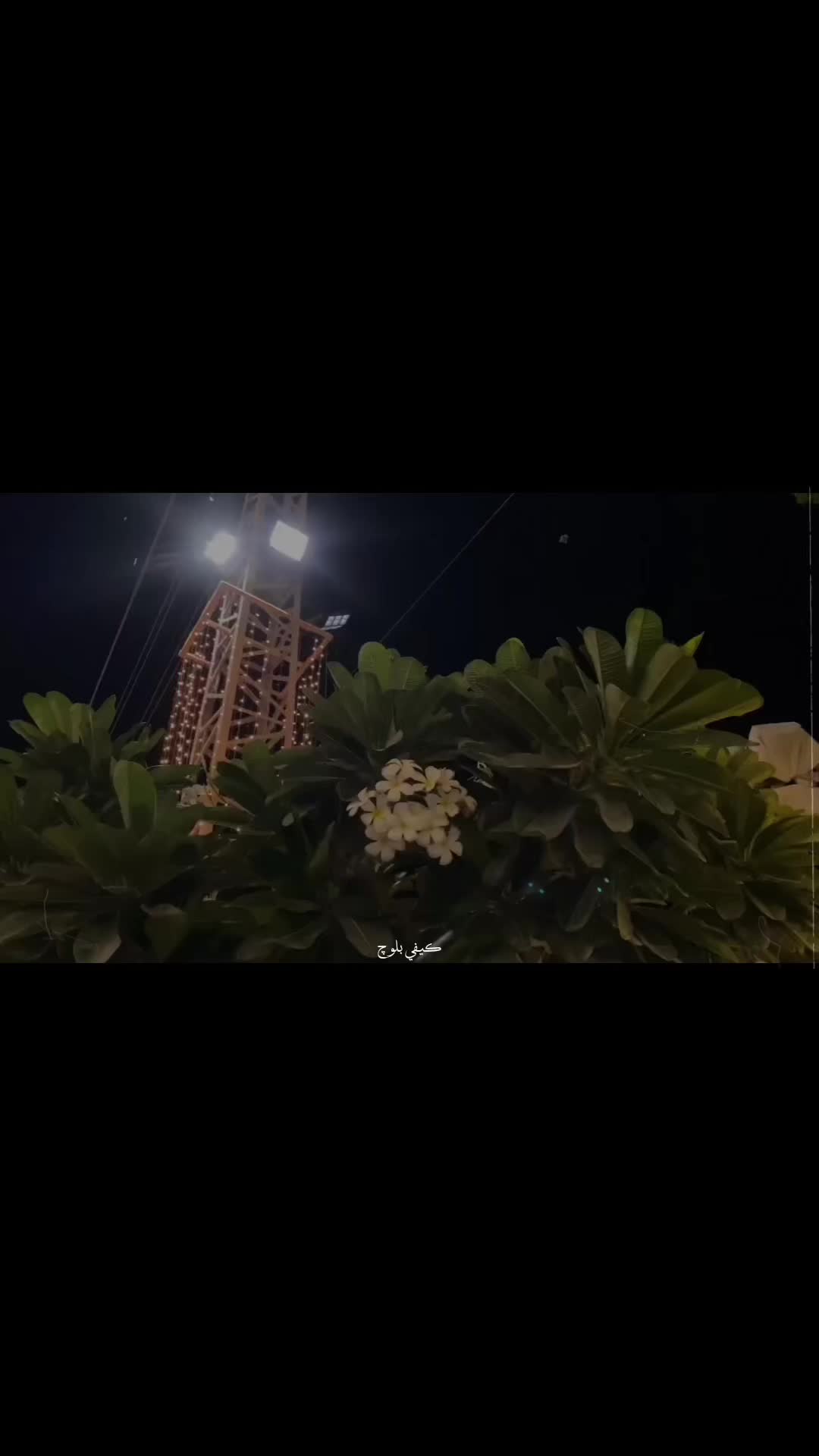 @ڪيفي بلوچ🚩