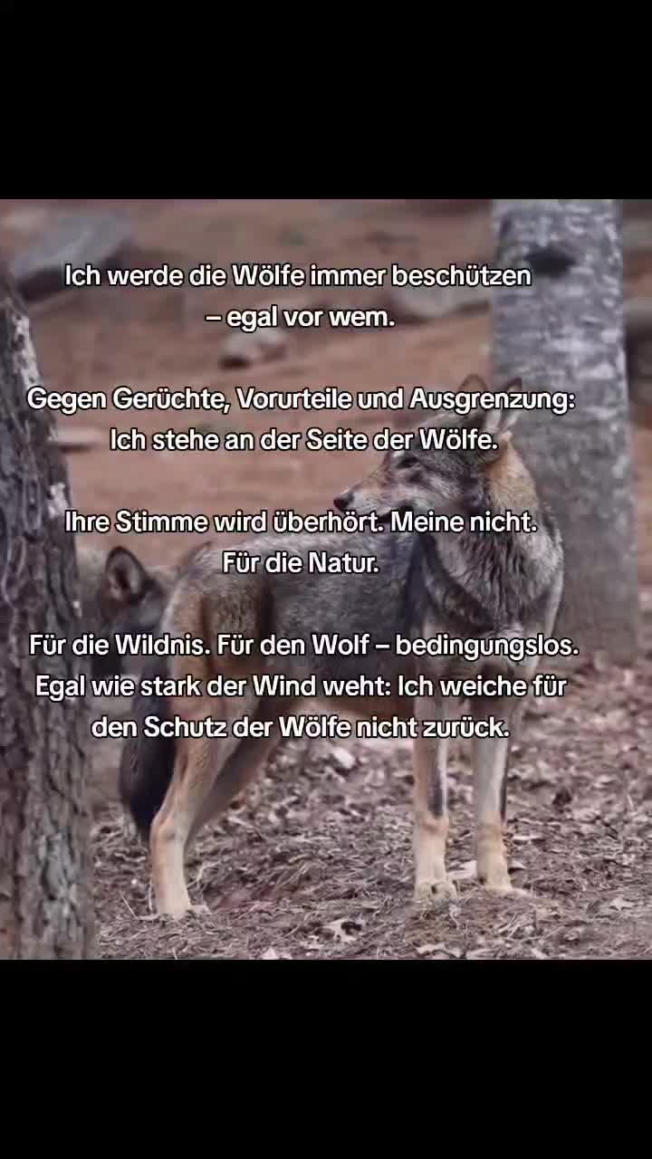 @schützt-den-wolf 🇦🇹