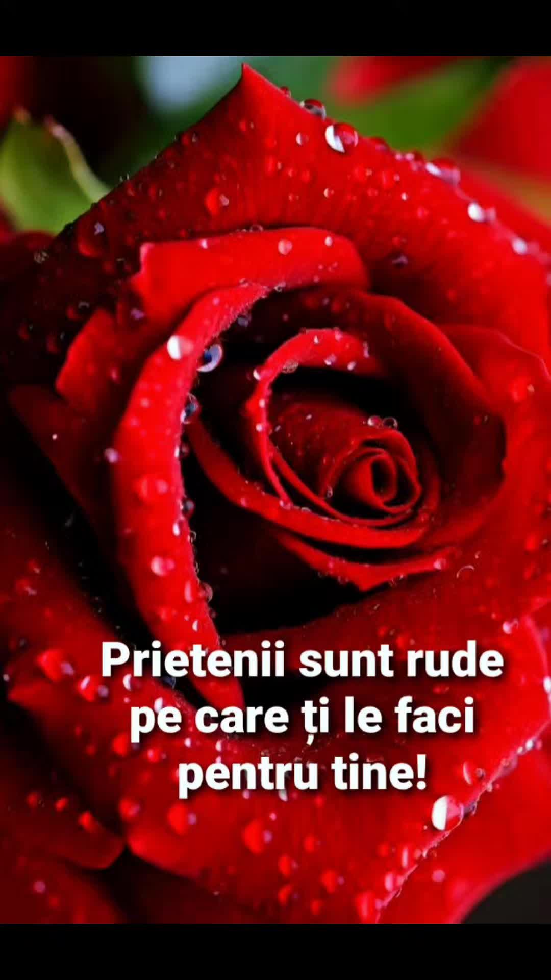 @Elena