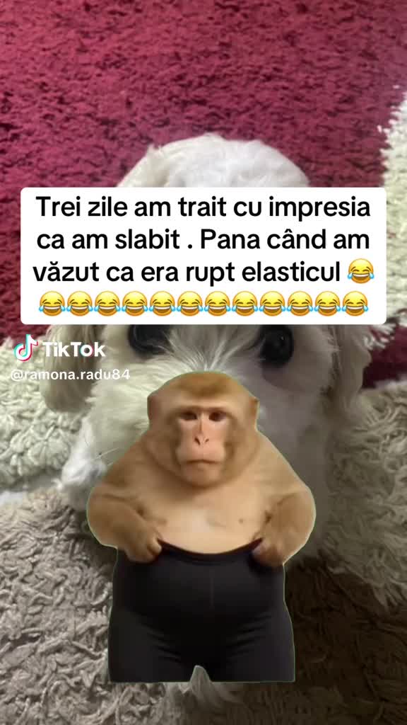 @Fata cu camionu'(M)