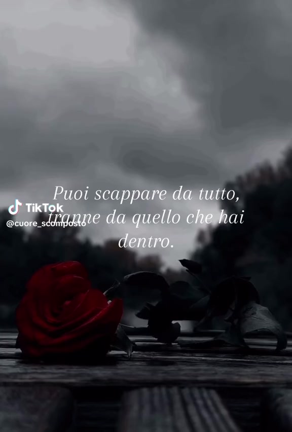@Stellina_rnz⭐️