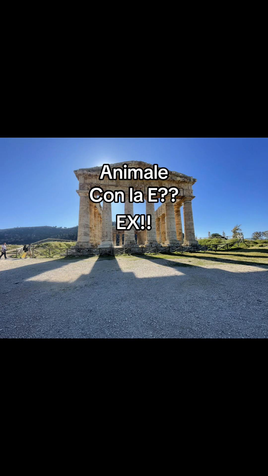 @Voliamoneiperte
