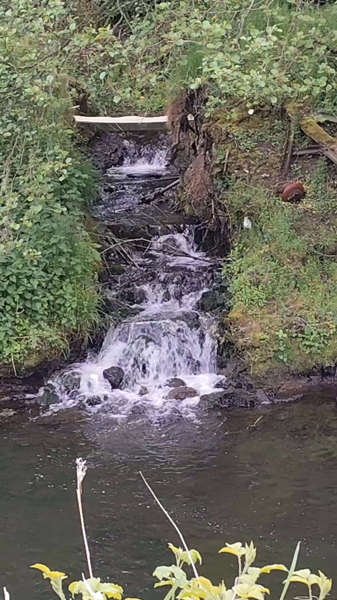 @Snap Clickle