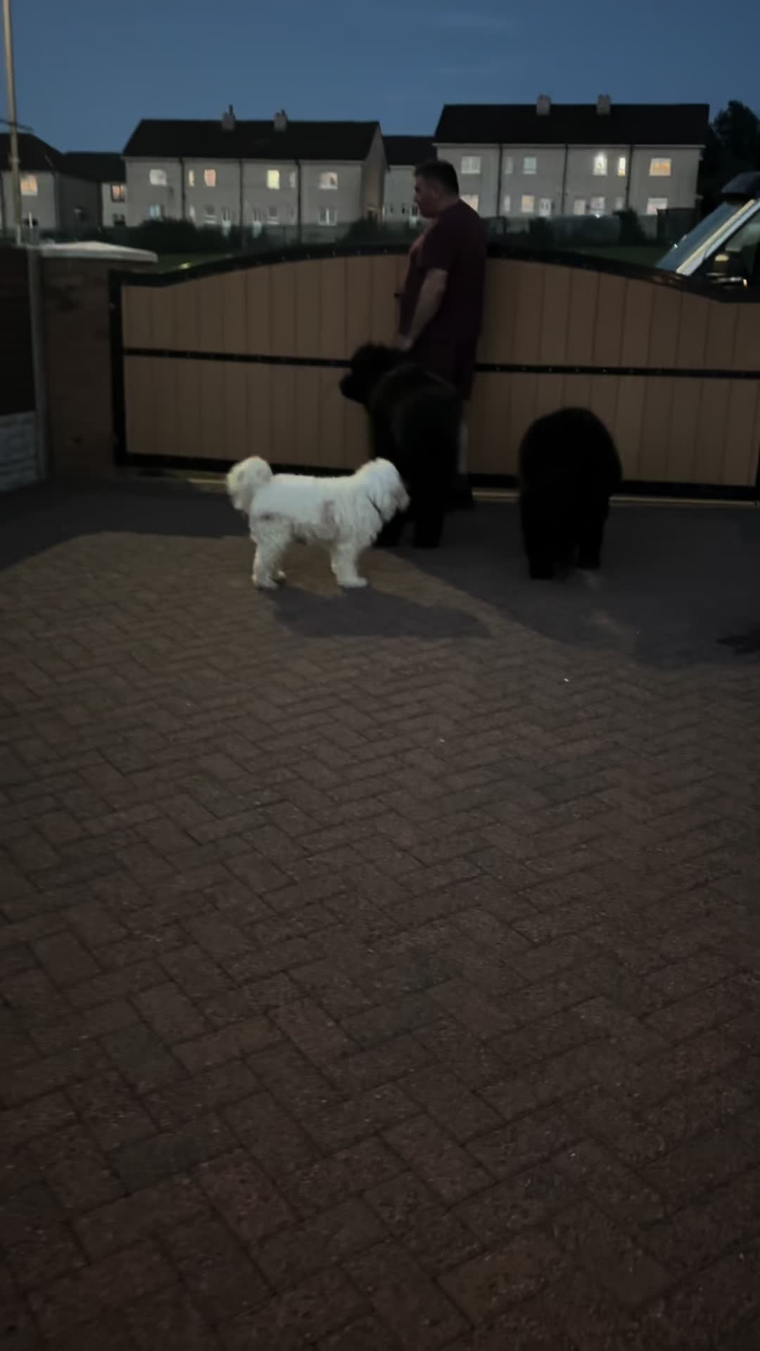@Pablopoppypiperpoodle