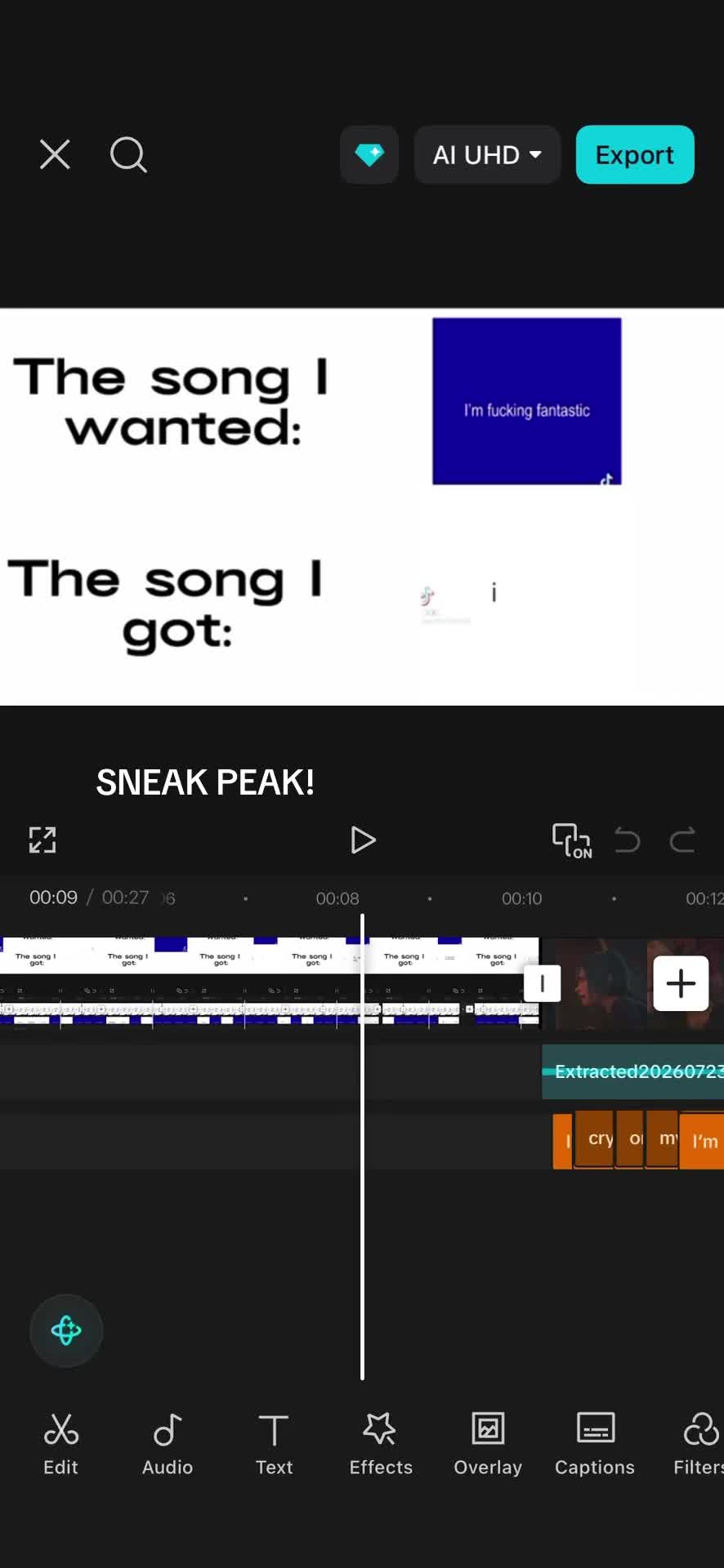 @Ari🐆