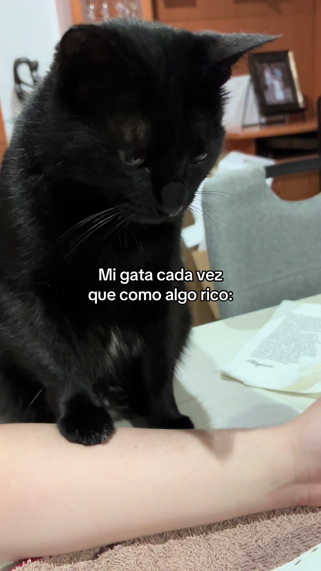 @BlackCatsMatter