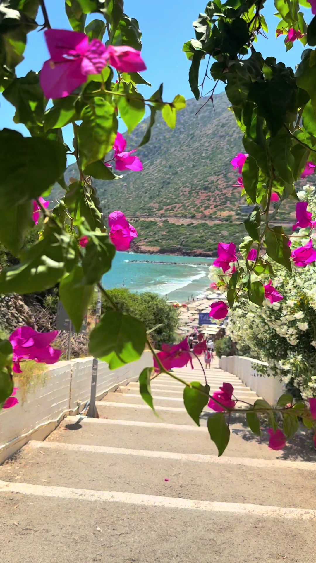 @Crete