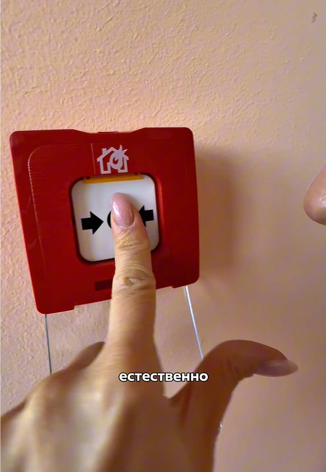 @Lena Pozhar