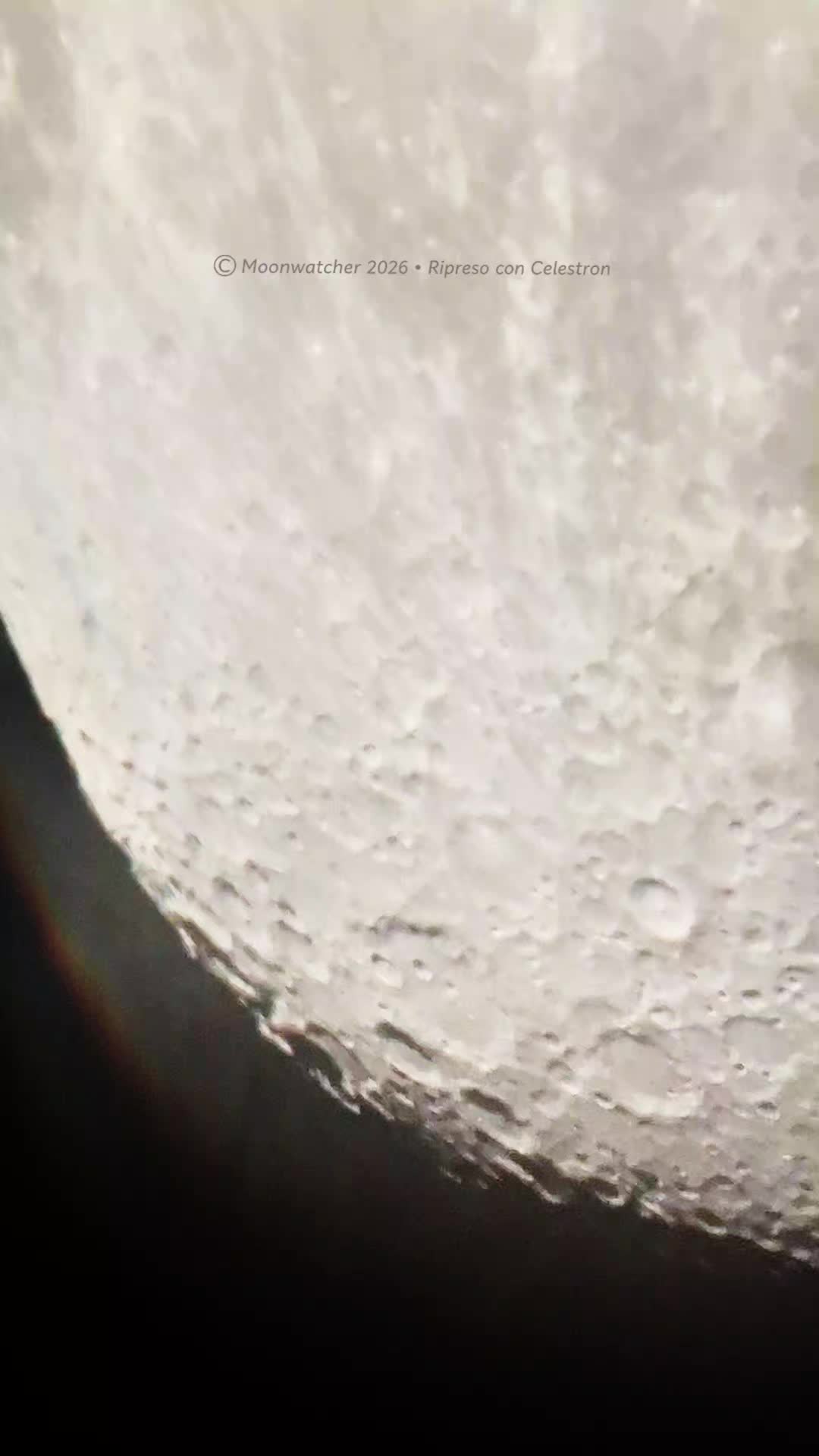@Moonwatcher