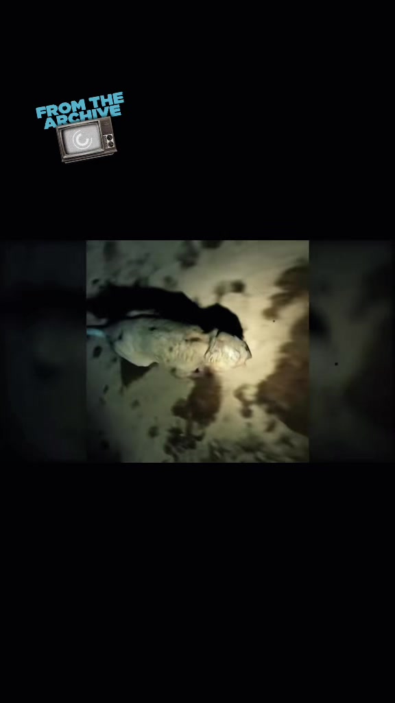 @ExoplanetWildlife