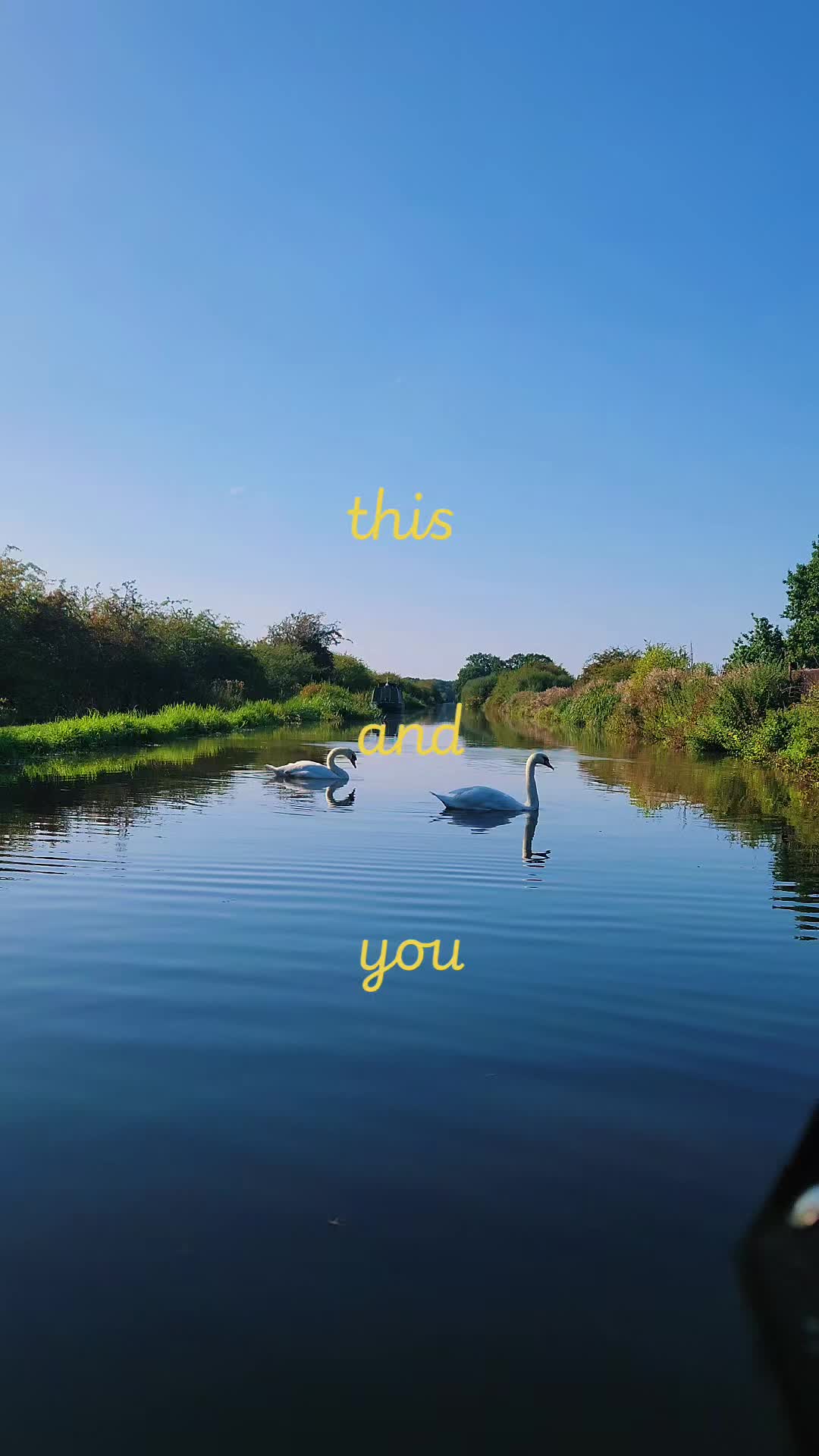 @Dreexy