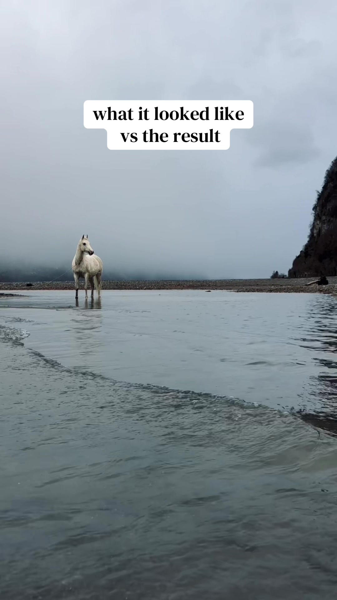@Lorea ☾ Equine Imagery