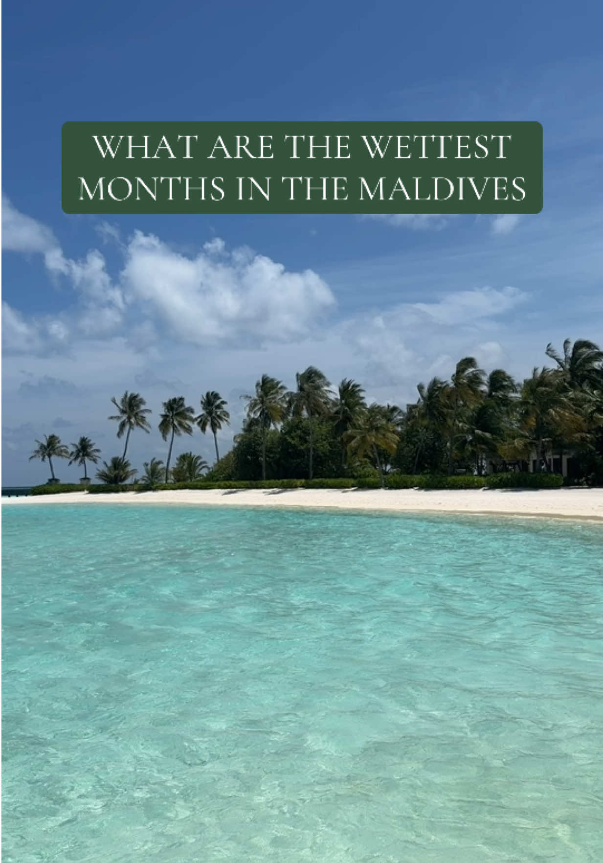 @Holly | Travel Planner | 🏝️