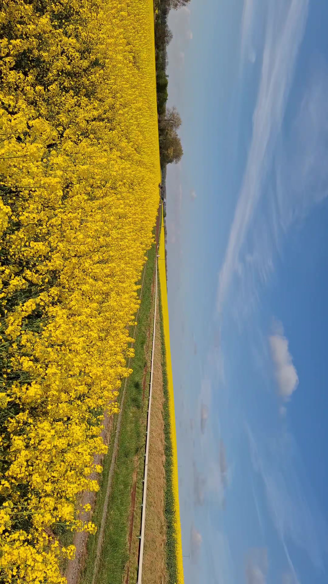 @BahnfotosKampfzwerg