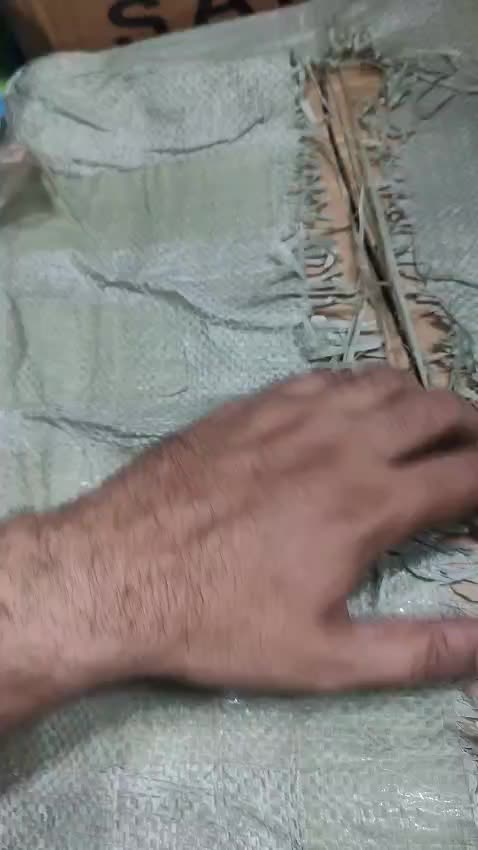 @Saif