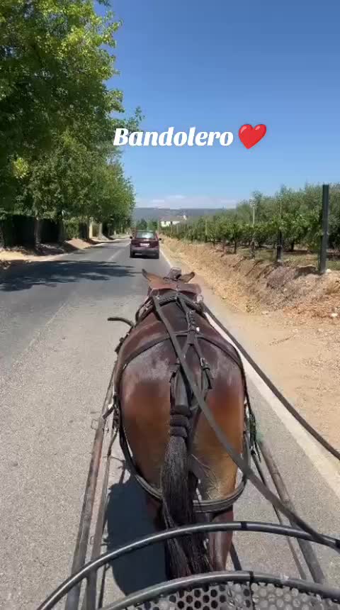 @Fran_mu&ntilde;ozruano