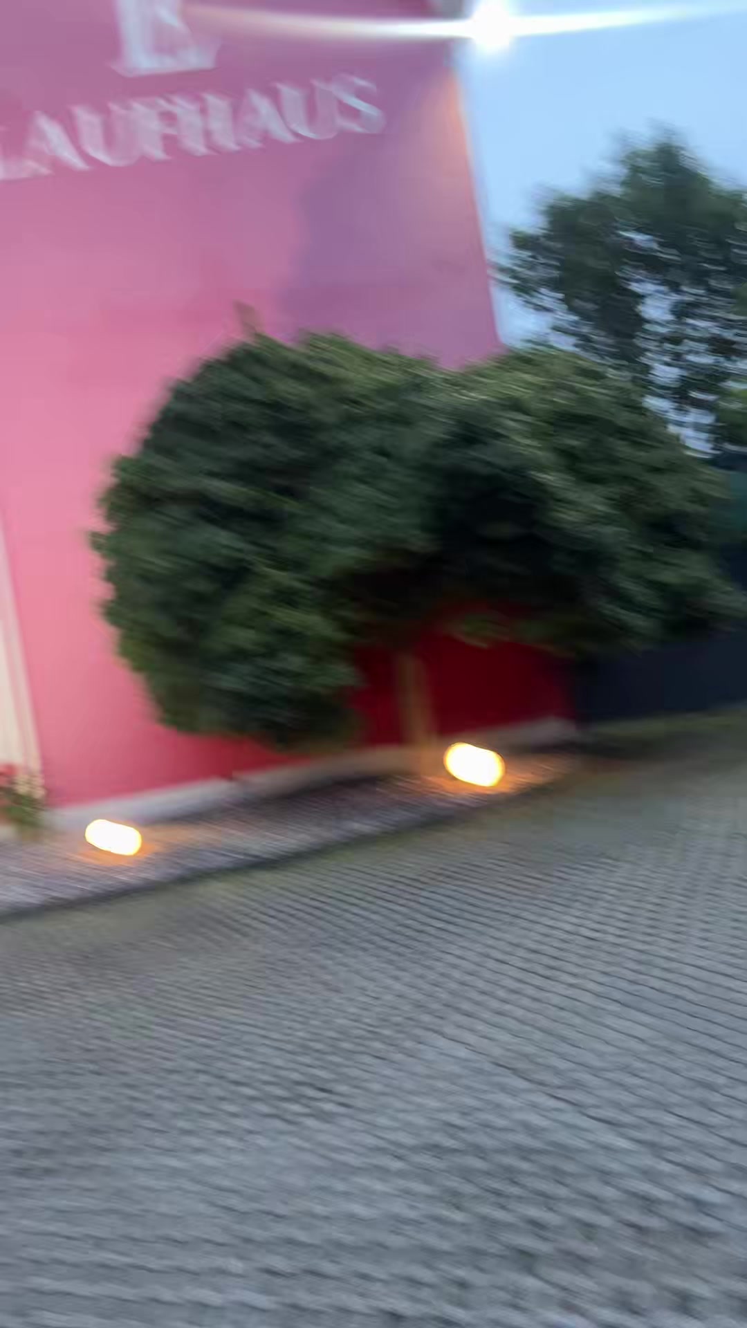 @LUPU🖤LPU🩶