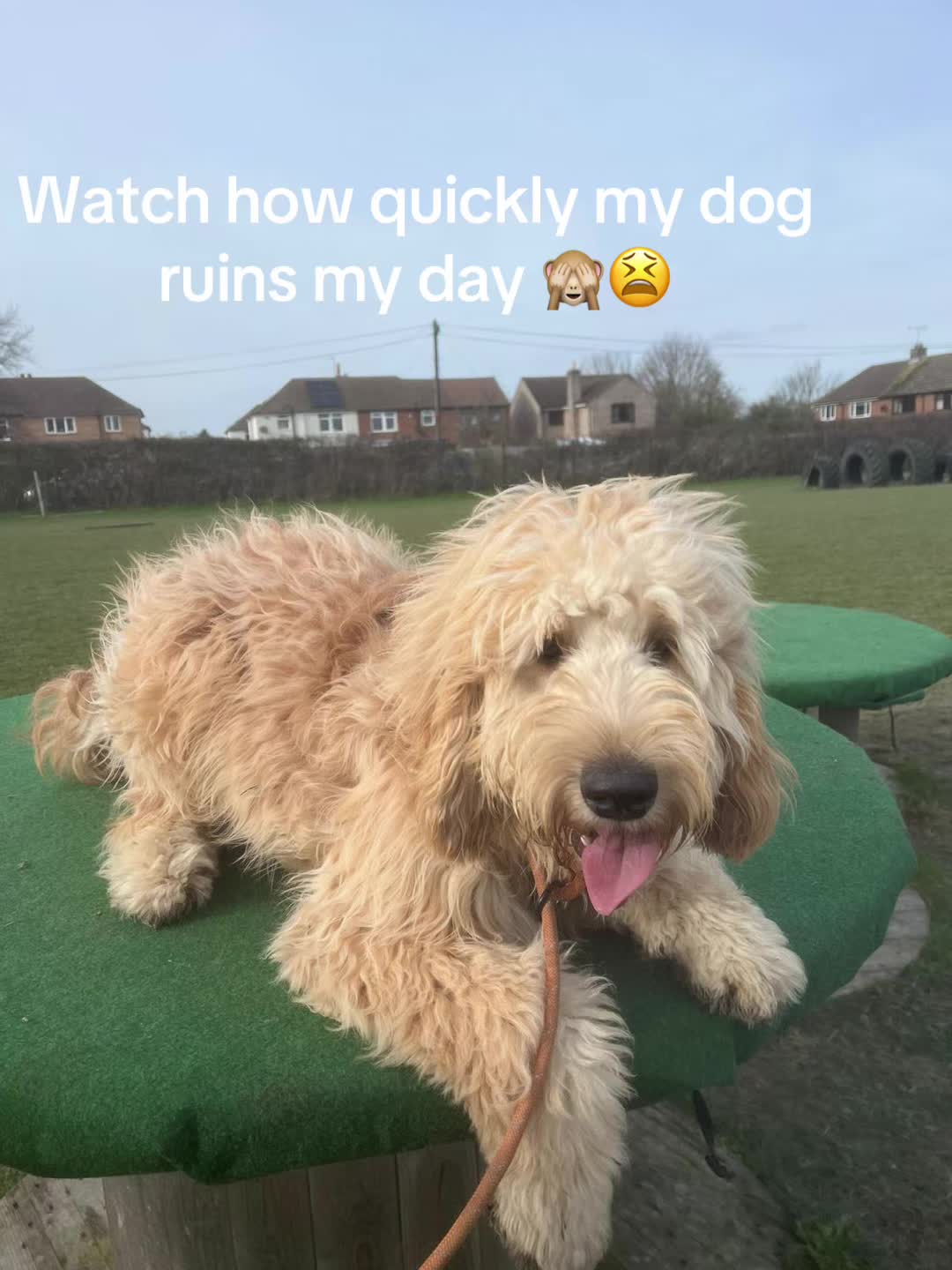@HugsFromRalph
