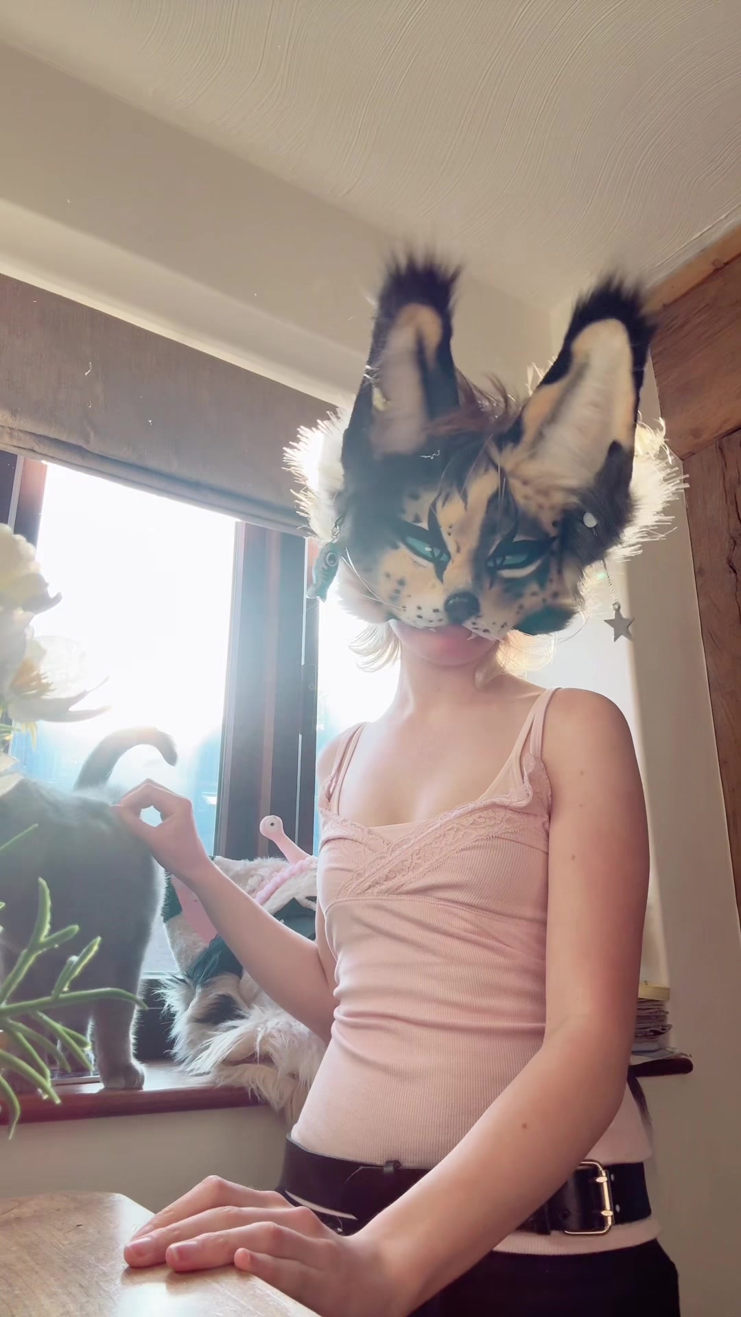 @☆ ᠻꫀ᥅ꪖꪶ ☆