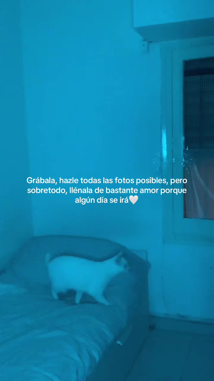@heydi_angella