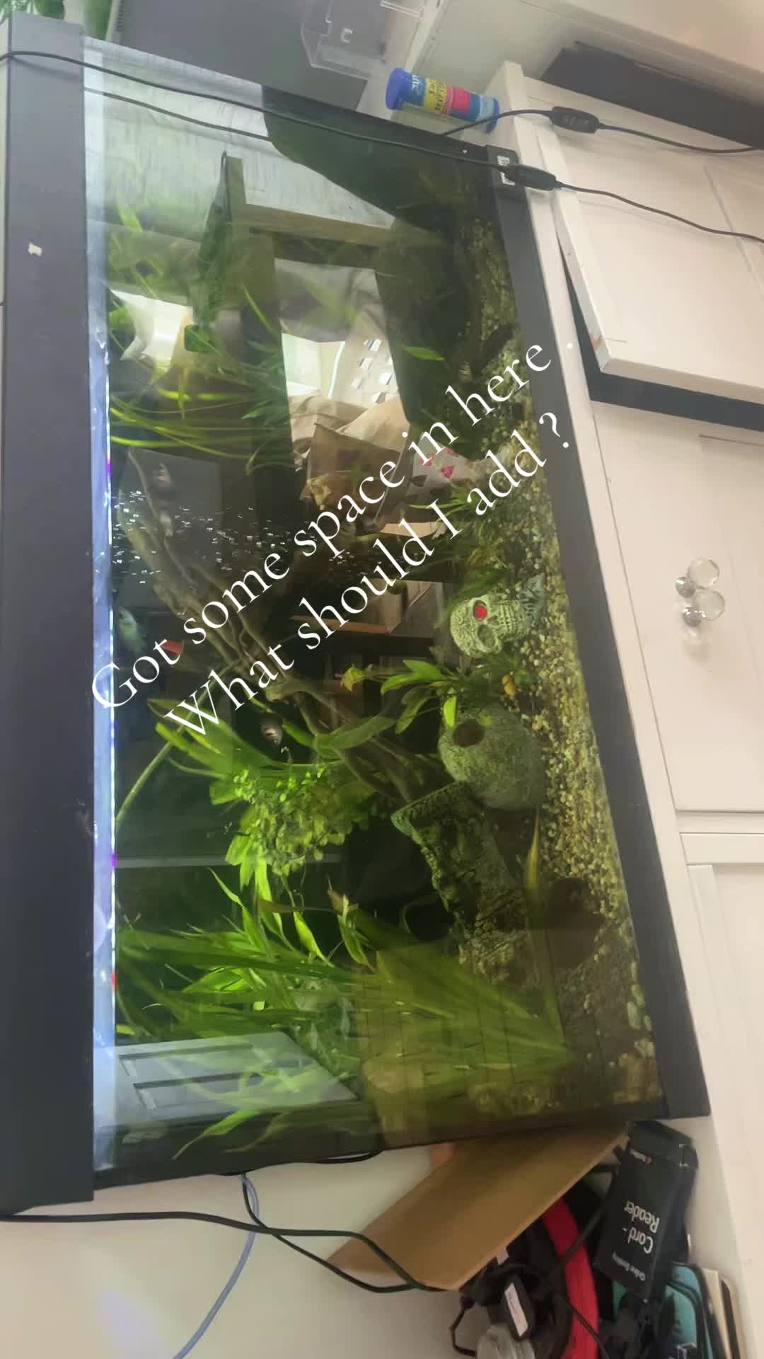 @CRBaquatics