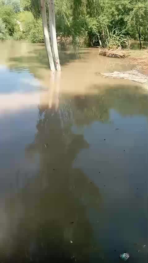 @Majiduhssain