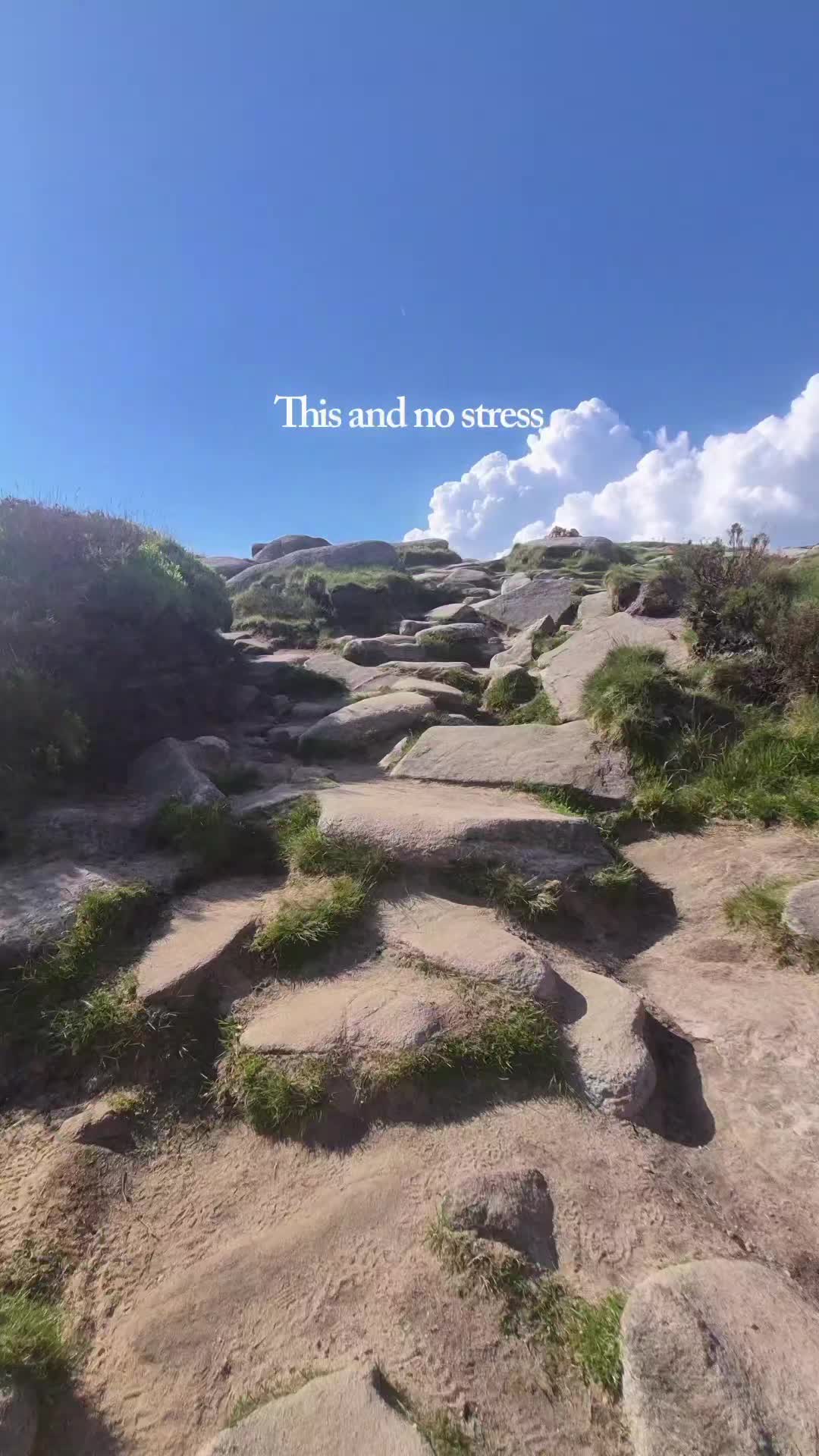 @ᨒ↟𖠰↟WhereLauraWanders↟𖠰↟ᨒ