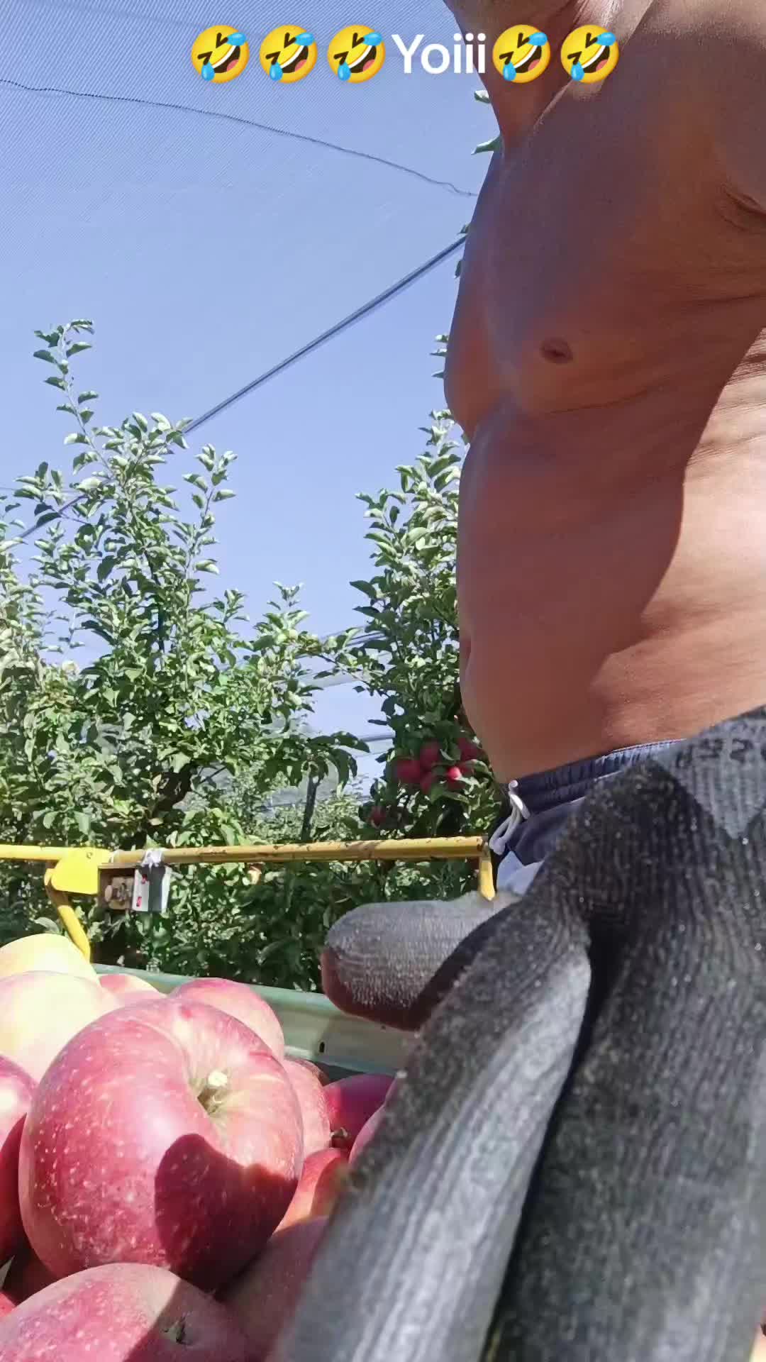 @Ciotârcă Ovidiu!