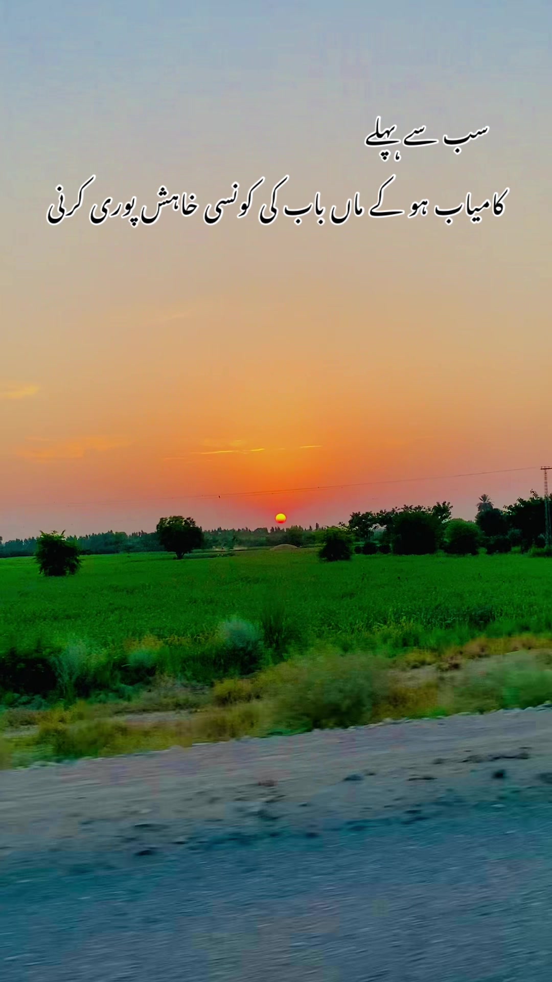@پنجاب زادہ🌿