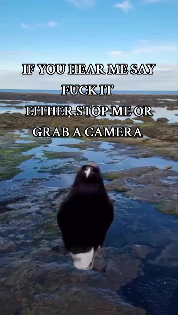 @ƘЄ̌Ʀ́ƦƳ🇮🇪