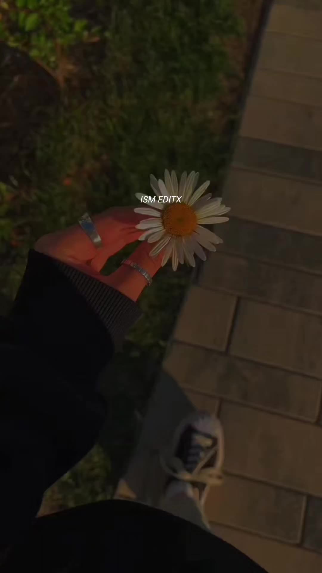 @اقراء❤️🔥