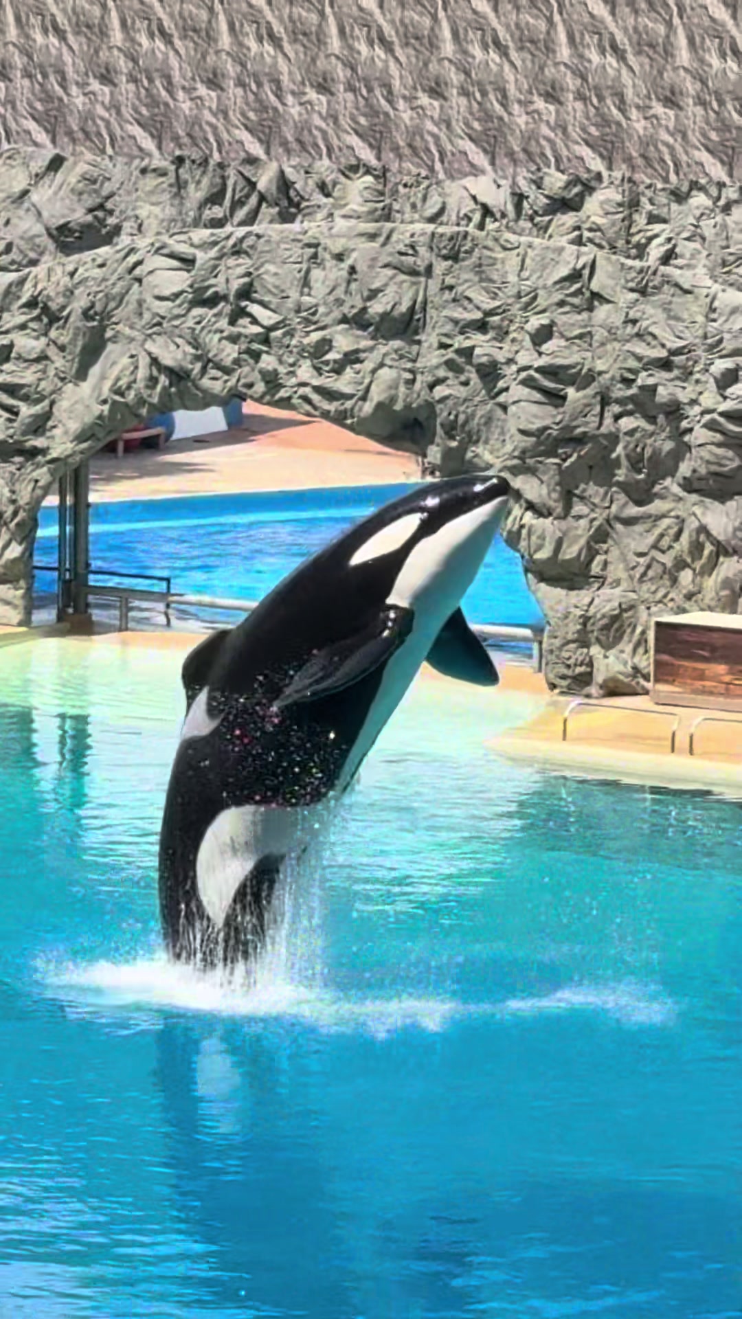 @Celeste Hamilton-Par
